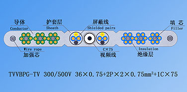 新澳门免费公开资料大全网站