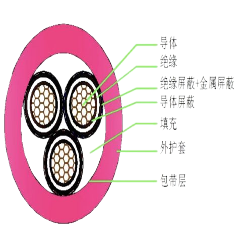 新澳门免费公开资料大全网站